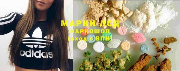 ПСИЛОЦИБИНОВЫЕ ГРИБЫ Кущёвская