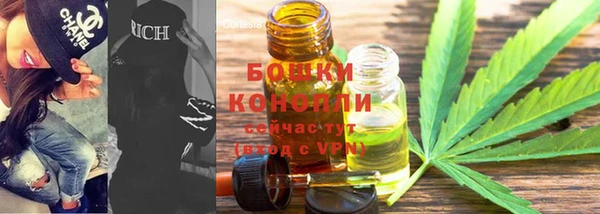 не бодяженный Гусев